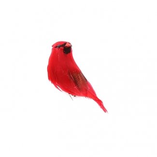 CARDINAL