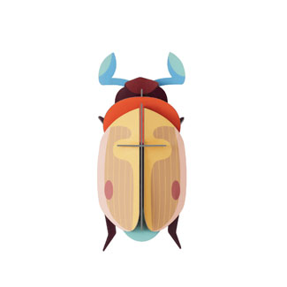 LEMON FRUIT BEETLE